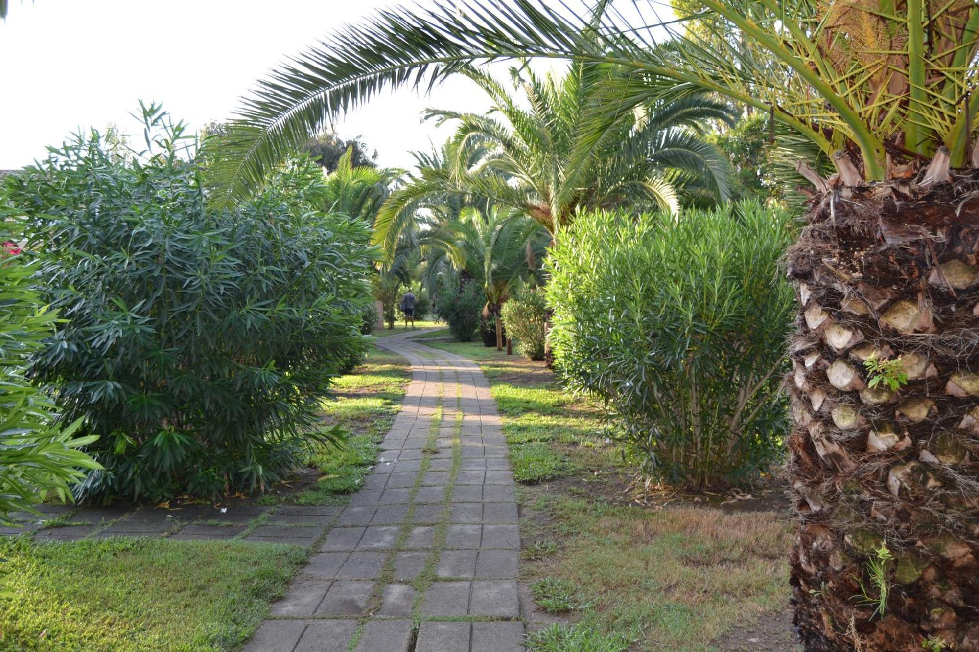 H4 Vila Ghisonaccia Exterior foto