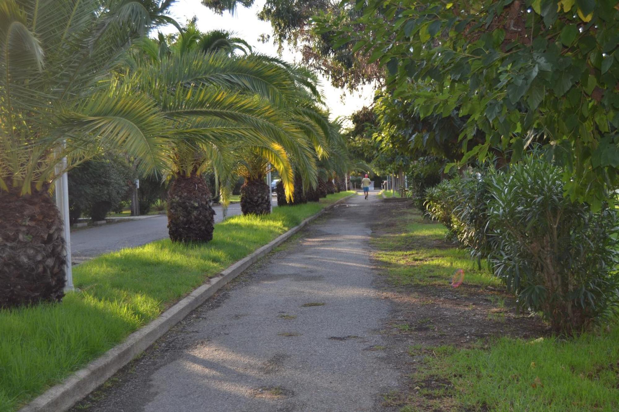 H4 Vila Ghisonaccia Exterior foto